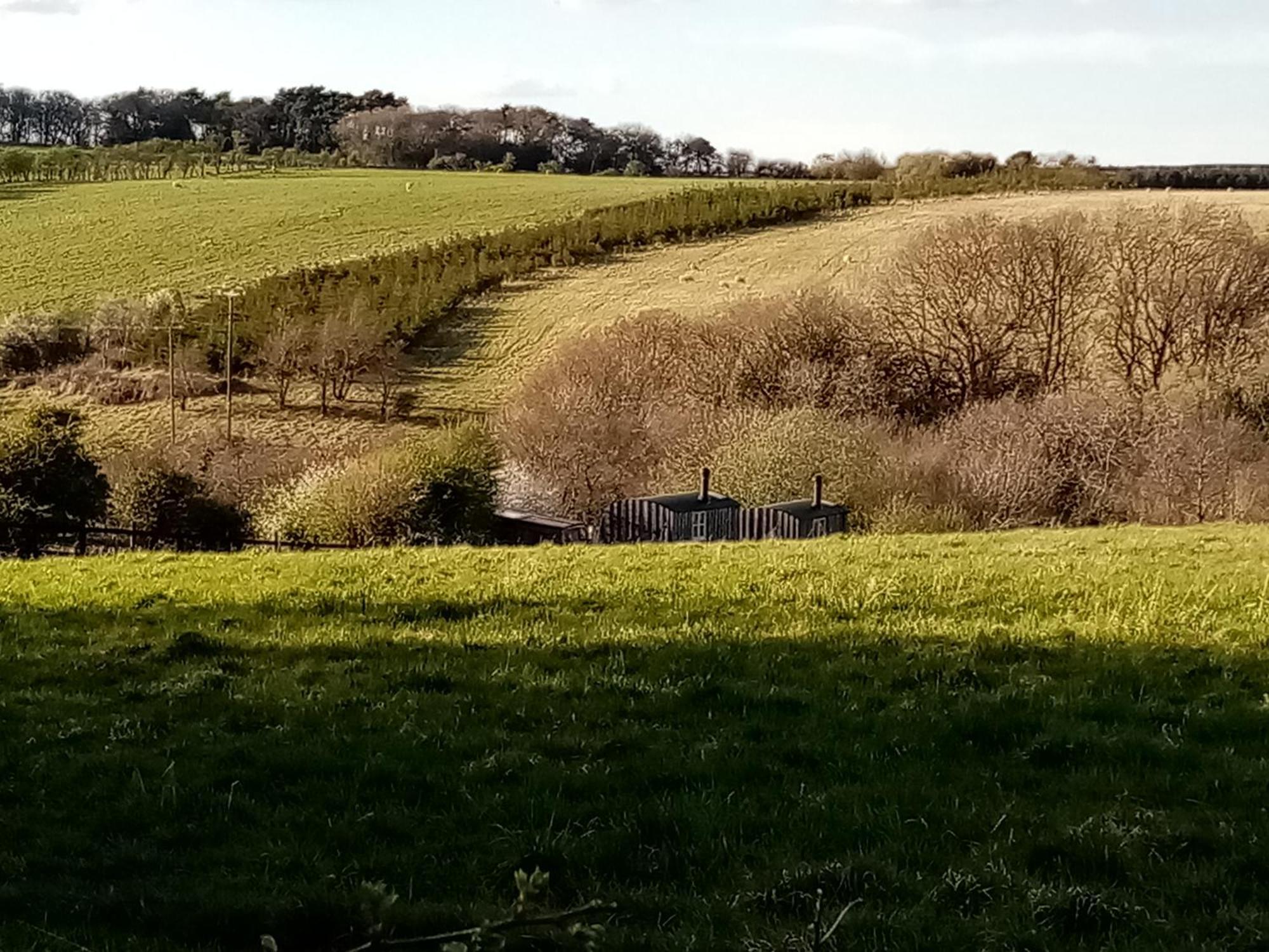 Meadowbeck - Shepherd Huts Fylingdales Εξωτερικό φωτογραφία