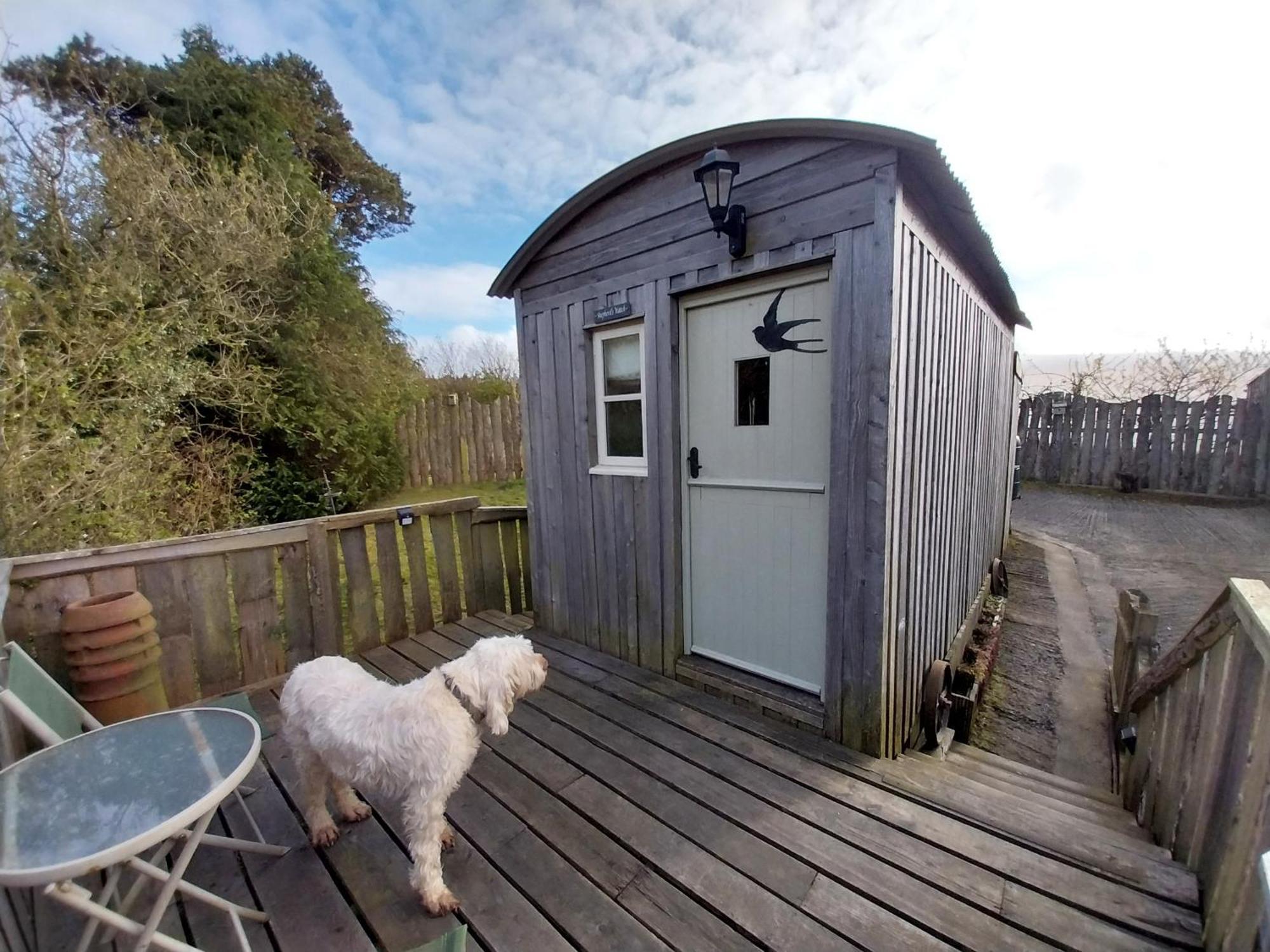 Meadowbeck - Shepherd Huts Fylingdales Εξωτερικό φωτογραφία
