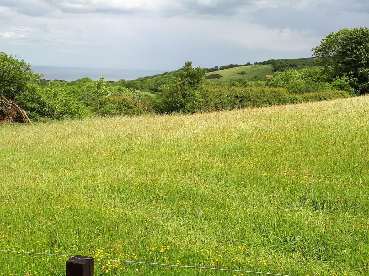 Meadowbeck - Shepherd Huts Fylingdales Εξωτερικό φωτογραφία